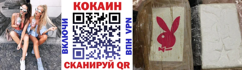 Купить закладки  Кимовск  COCAIN 99% 