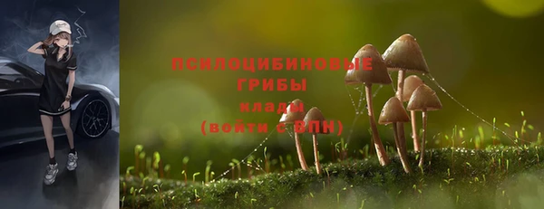 прущие крисы Богданович