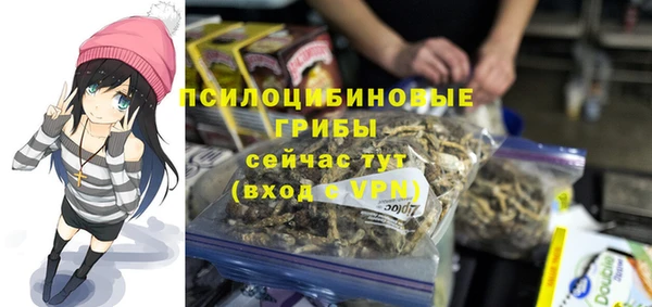 прущие крисы Богданович